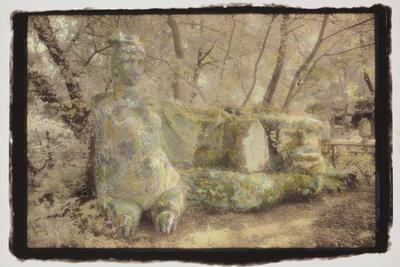 Photographic Print, , small