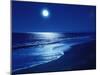 Full Moon Over the Sea-null-Mounted Photographic Print