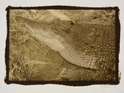 Photographic Print, , small