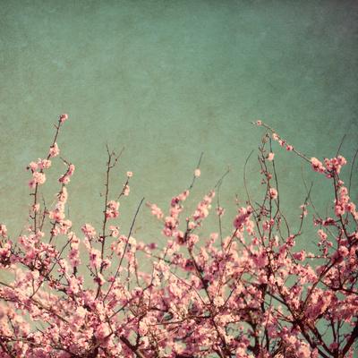 Photographic Print, , small