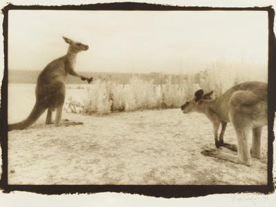Photographic Print, , small