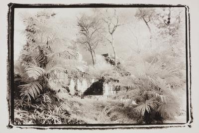 Photographic Print, , small