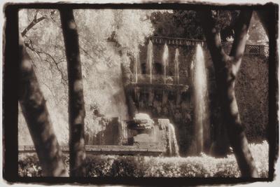 Photographic Print, , small