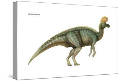 Stretched Canvas Print, , small