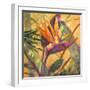 Splash of the Tropics I-Nanette Oleson-Framed Art Print