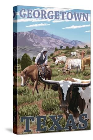 Stretched Canvas Print, , small