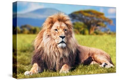 Stretched Canvas Print, , small