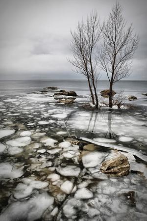 Photographic Print, , small