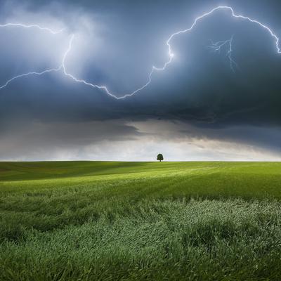 Photographic Print, , small