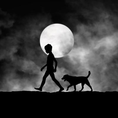 Photographic Print, , small
