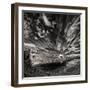 Resting There (Mono)-Þorsteinn H. Ingibergsson-Framed Photographic Print