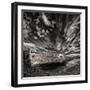 Resting There (Mono)-Þorsteinn H. Ingibergsson-Framed Photographic Print