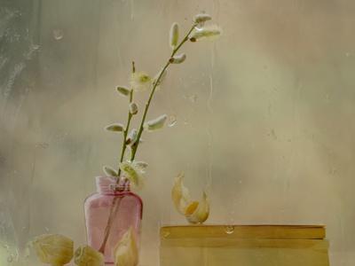 Photographic Print, , small