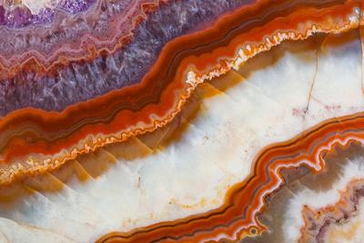 Photographic Print, , small