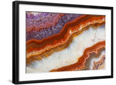 Photographic Print, , small