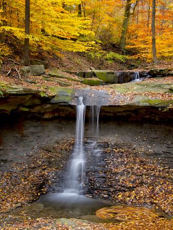 Premium Photographic Print, , small