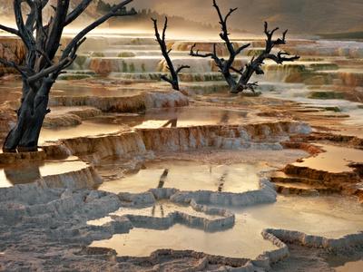 Photographic Print, , small