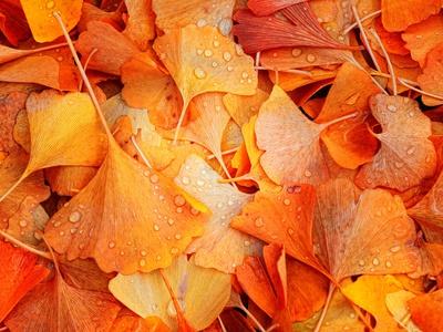 Photographic Print, , small