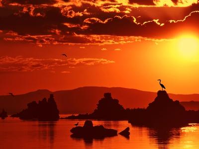 Photographic Print, , small