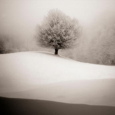 Photographic Print, , small