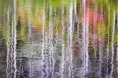 Premium Photographic Print, , small