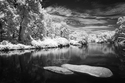 Premium Photographic Print, , small