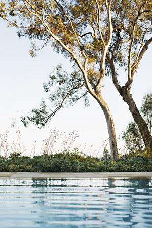 Premium Photographic Print, , small