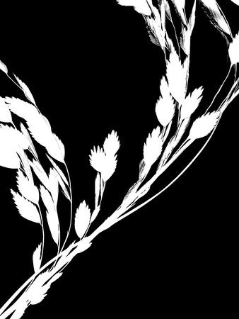 Premium Photographic Print, , small