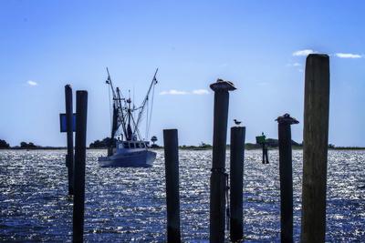 Premium Photographic Print, , small