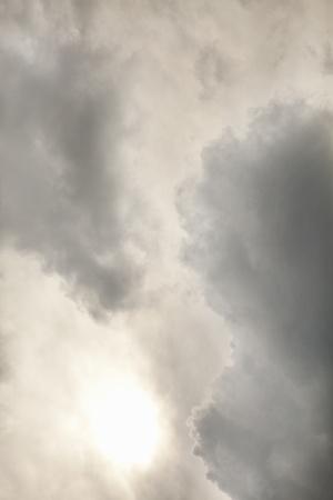 Premium Photographic Print, , small