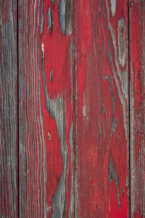 Premium Photographic Print, , small