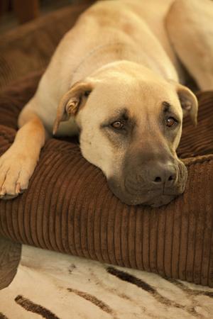 Photographic Print, , small