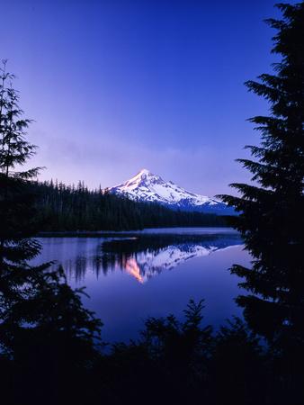 Premium Photographic Print, , small