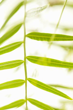 Premium Photographic Print, , small