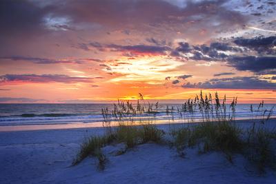 Premium Photographic Print, , small