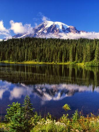 Photographic Print, , small