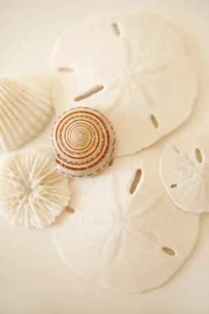 Premium Photographic Print, , small