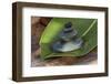 Tower of Stoneson Green Leaves-Uwe Merkel-Framed Photographic Print