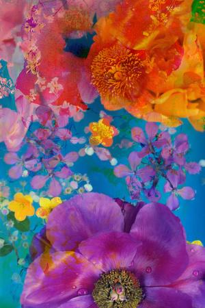 Photographic Print, , small