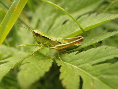 Photographic Print, , small