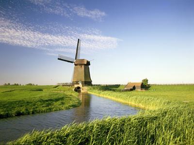 Photographic Print, , small