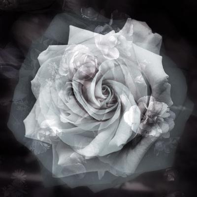 Photographic Print, , small