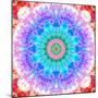 Mandala Ornament of Flowers, Composing-Alaya Gadeh-Mounted Photographic Print