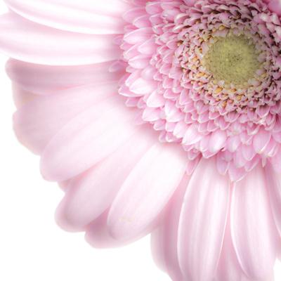 Photographic Print, , small