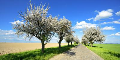 Photographic Print, , small