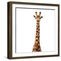 Safari Profile Collection - Giraffe White Edition V-Philippe Hugonnard-Framed Photographic Print