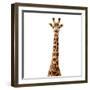 Safari Profile Collection - Giraffe White Edition V-Philippe Hugonnard-Framed Photographic Print