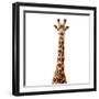 Safari Profile Collection - Giraffe White Edition V-Philippe Hugonnard-Framed Photographic Print