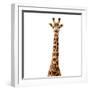 Safari Profile Collection - Giraffe White Edition V-Philippe Hugonnard-Framed Photographic Print