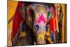 Painted Elephant, Amer Fort, Jaipur, Rajasthan, India, Asia-Laura Grier-Mounted Photographic Print